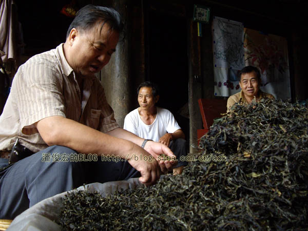 易武落水洞古茶树/潘俊宏 2007年5月18日记 Life tea | 生活禪茶  落水洞 茶树 潘俊宏 易武 日记   [ 潘俊宏 Arttopan -艺术家 artist ]