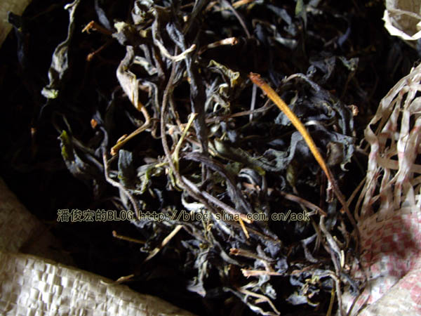 曼庄(古六大茶山-蛮砖) 老实的雨天茶/潘俊宏 2007年5月20日记 Life tea | 生活禪茶  雨天 茶山 老实 潘俊宏 曼庄 日记 六大   [ 潘俊宏 Arttopan -艺术家 artist ]