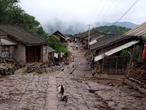 倚邦（古六大茶山-倚邦）历史上何来的执着茶/潘俊宏 2007年5月21日记 Life tea | 生活禪茶  茶山 潘俊宏 日记 执着 六大 倚邦 何来   [ 潘俊宏 Arttopan -艺术家 artist ]