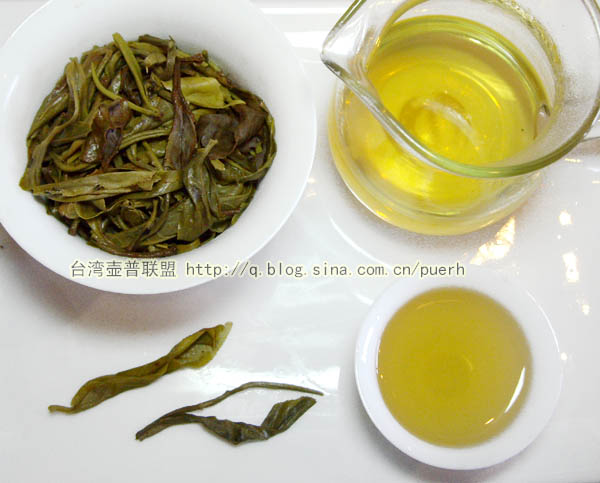 布朗山(苦茶)-普洱茶的毛茶/潘俊宏 评鉴 Life tea | 生活禪茶  评鉴 苦茶 潘俊宏 毛茶 普洱茶 布朗   [ 潘俊宏 Arttopan -艺术家 artist ]