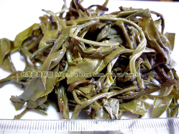 布朗山-普洱茶的毛茶/潘俊宏 评鉴 Life tea | 生活禪茶  评鉴 潘俊宏 毛茶 普洱茶 布朗   [ 潘俊宏 Arttopan -艺术家 artist ]