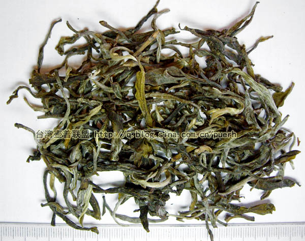 布朗山(苦茶)-普洱茶的毛茶/潘俊宏 评鉴 Life tea | 生活禪茶  评鉴 苦茶 潘俊宏 毛茶 普洱茶 布朗   [ 潘俊宏 Arttopan -艺术家 artist ]