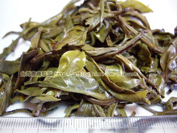 布朗山(苦茶)-普洱茶的毛茶/潘俊宏 评鉴 Life tea | 生活禪茶  评鉴 苦茶 潘俊宏 毛茶 普洱茶 布朗   [ 潘俊宏 Arttopan -艺术家 artist ]