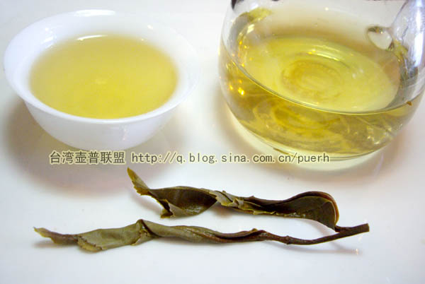 布朗山-普洱茶的毛茶/潘俊宏 评鉴 Life tea | 生活禪茶  评鉴 潘俊宏 毛茶 普洱茶 布朗   [ 潘俊宏 Arttopan -艺术家 artist ]