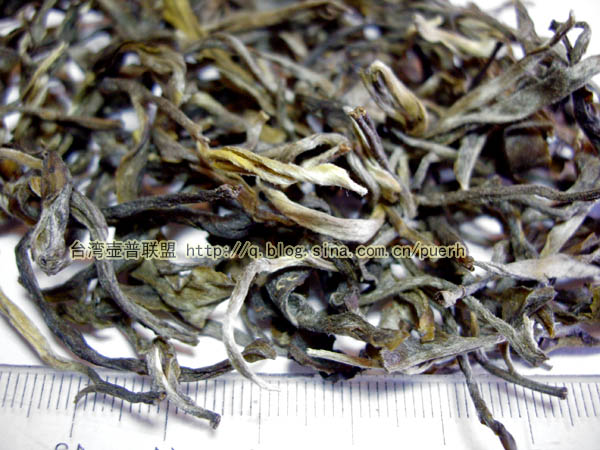 布朗山(苦茶)-普洱茶的毛茶/潘俊宏 评鉴 Life tea | 生活禪茶  评鉴 苦茶 潘俊宏 毛茶 普洱茶 布朗   [ 潘俊宏 Arttopan -艺术家 artist ]