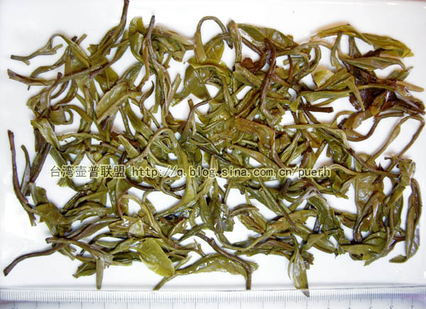 布朗山(苦茶)-普洱茶的毛茶/潘俊宏 评鉴 Life tea | 生活禪茶  评鉴 苦茶 潘俊宏 毛茶 普洱茶 布朗   [ 潘俊宏 Arttopan -艺术家 artist ]