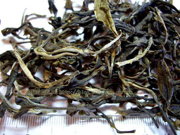 莽枝(安乐)-普洱茶的毛茶/潘俊宏 评鉴 Life tea | 生活禪茶  评鉴 莽枝 潘俊宏 毛茶 普洱茶 安乐   [ 潘俊宏 Arttopan -艺术家 artist ]