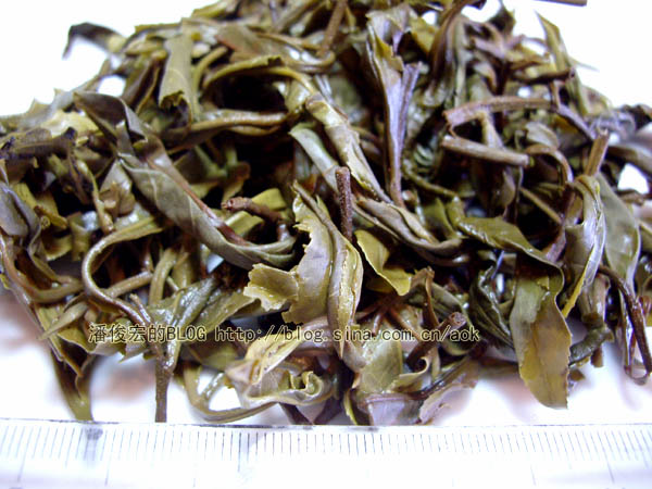 莽枝(安乐)-普洱茶的毛茶/潘俊宏 评鉴 Life tea | 生活禪茶  评鉴 莽枝 潘俊宏 毛茶 普洱茶 安乐   [ 潘俊宏 Arttopan -艺术家 artist ]