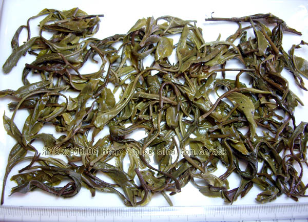 莽枝(安乐)-普洱茶的毛茶/潘俊宏 评鉴 Life tea | 生活禪茶  评鉴 莽枝 潘俊宏 毛茶 普洱茶 安乐   [ 潘俊宏 Arttopan -艺术家 artist ]