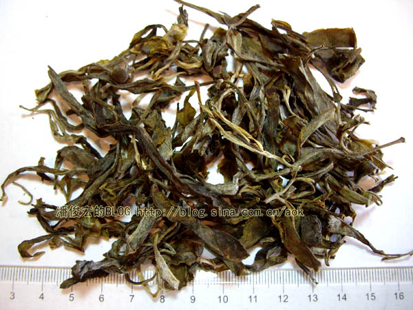 革登(新发寨)-普洱茶的毛茶/潘俊宏 评鉴 Life tea | 生活禪茶  革登 评鉴 潘俊宏 毛茶 普洱茶 新发寨   [ 潘俊宏 Arttopan -艺术家 artist ]