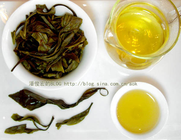 革登(新发寨)-普洱茶的毛茶/潘俊宏 评鉴 Life tea | 生活禪茶  革登 评鉴 潘俊宏 毛茶 普洱茶 新发寨   [ 潘俊宏 Arttopan -艺术家 artist ]