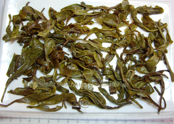 革登(新发寨)-普洱茶的毛茶/潘俊宏 评鉴 Life tea | 生活禪茶  革登 评鉴 潘俊宏 毛茶 普洱茶 新发寨   [ 潘俊宏 Arttopan -艺术家 artist ]