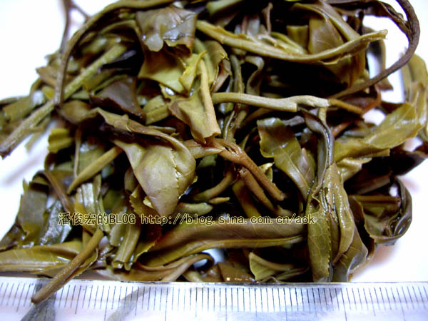 攸乐(基诺,司土新寨)-普洱茶的毛茶/潘俊宏 评鉴 Life tea | 生活禪茶  评鉴 潘俊宏 毛茶 普洱茶 新寨 攸乐 基诺 司土   [ 潘俊宏 Arttopan -艺术家 artist ]