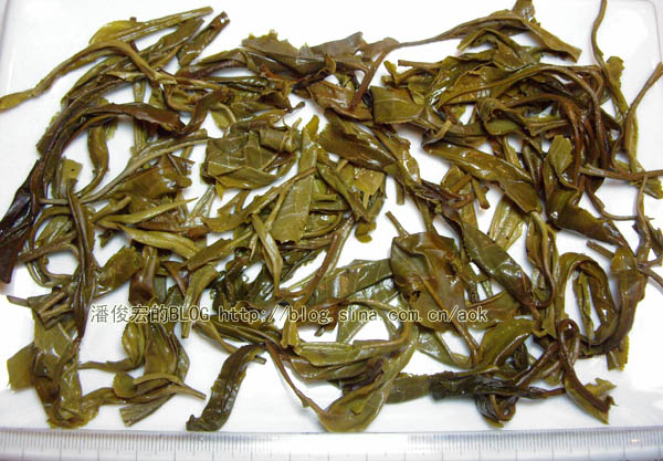 攸乐(基诺,司土新寨)-普洱茶的毛茶/潘俊宏 评鉴 Life tea | 生活禪茶  评鉴 潘俊宏 毛茶 普洱茶 新寨 攸乐 基诺 司土   [ 潘俊宏 Arttopan -艺术家 artist ]