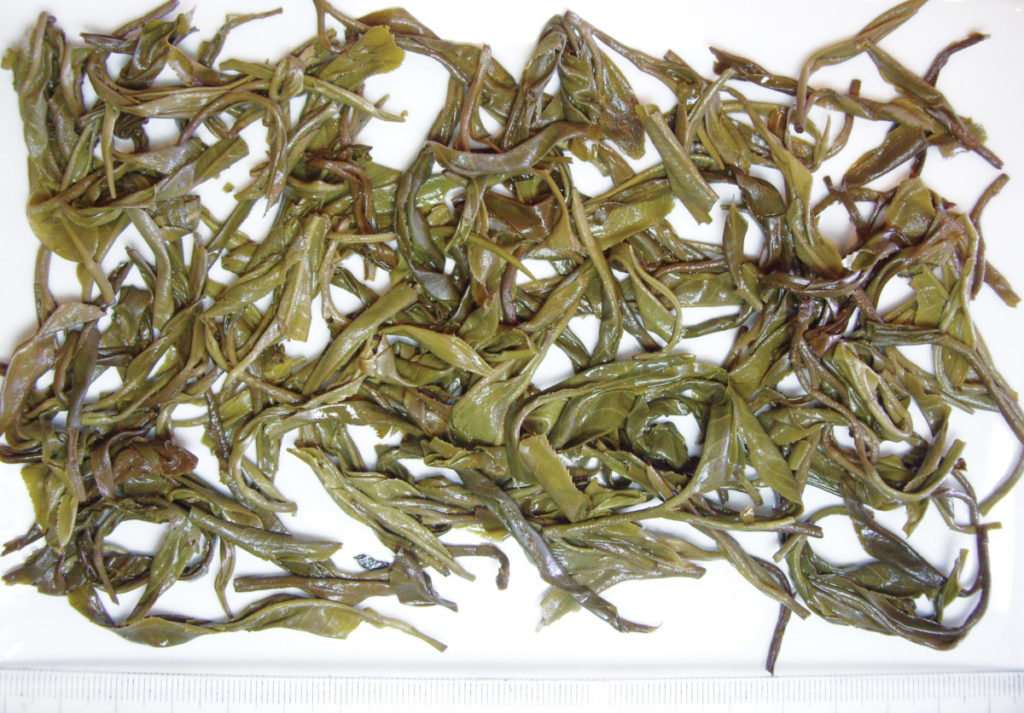 布朗(老曼峨)-普洱茶的毛茶/潘俊宏 评鉴 Life tea | 生活禪茶  评鉴 老曼峨 潘俊宏 毛茶 普洱茶 布朗   [ 潘俊宏 Arttopan -艺术家 artist ]