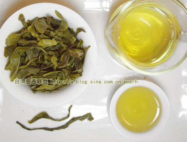 【金印圆茶】中茶牌普洱茶-2007年生茶/评鉴 潘俊宏 Life tea | 生活禪茶  金印 评鉴 潘俊宏 普洱茶 年生 圆茶 中茶牌   [ 潘俊宏 Arttopan -艺术家 artist ]