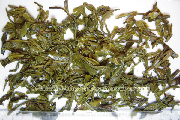 【金印圆茶】中茶牌普洱茶-2007年生茶/评鉴 潘俊宏 Life tea | 生活禪茶  金印 评鉴 潘俊宏 普洱茶 年生 圆茶 中茶牌   [ 潘俊宏 Arttopan -艺术家 artist ]