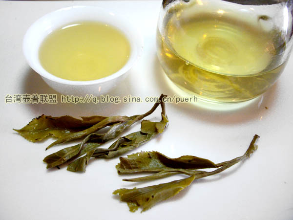 新班章-普洱茶的毛茶/潘俊宏 评鉴 Life tea | 生活禪茶  评鉴 潘俊宏 毛茶 普洱茶 新班章   [ 潘俊宏 Arttopan -艺术家 artist ]