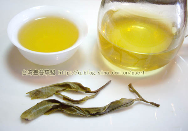 老班章-普洱茶的毛茶/潘俊宏 评鉴 Life tea | 生活禪茶  评鉴 老班章 潘俊宏 毛茶 普洱茶   [ 潘俊宏 Arttopan -艺术家 artist ]