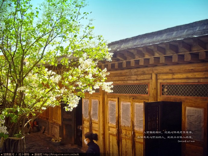 【实拍4】用镜头带著心灵游走拉卜楞寺(组图81张) Photography | 攝影  镜头 组图 游走 拉卜楞寺 心灵 带著 实拍   [ 潘俊宏 Arttopan -艺术家 artist ]