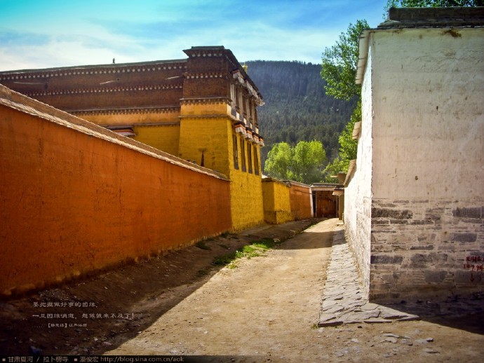 【实拍4】用镜头带著心灵游走拉卜楞寺(组图81张) Photography | 攝影  镜头 组图 游走 拉卜楞寺 心灵 带著 实拍   [ 潘俊宏 Arttopan -艺术家 artist ]