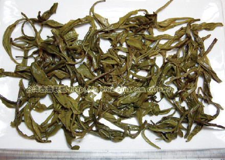 巴达(贺松)-普洱茶的毛茶/潘俊宏 评鉴 Life tea | 生活禪茶  贺松 评鉴 潘俊宏 毛茶 普洱茶 巴达   [ 潘俊宏 Arttopan -艺术家 artist ]