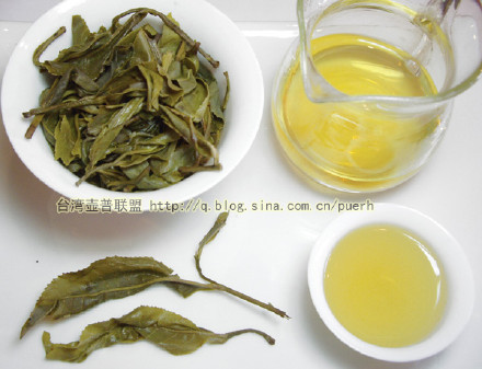 大渡岗(关坪)-普洱茶的毛茶/潘俊宏 评鉴 Life tea | 生活禪茶  评鉴 潘俊宏 毛茶 普洱茶 大渡岗 关坪   [ 潘俊宏 Arttopan -艺术家 artist ]