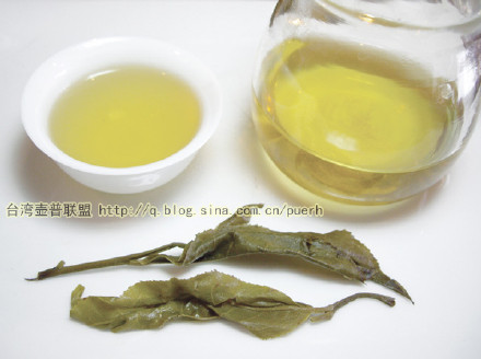 大渡岗(关坪)-普洱茶的毛茶/潘俊宏 评鉴 Life tea | 生活禪茶  评鉴 潘俊宏 毛茶 普洱茶 大渡岗 关坪   [ 潘俊宏 Arttopan -艺术家 artist ]