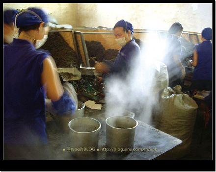 2007/5/12 普洱茶的诞生过程-南峤茶厂车间 Life tea | 生活禪茶  过程 车间 诞生 茶厂 普洱茶 南峤   [ 潘俊宏 Arttopan -艺术家 artist ]