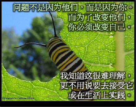 爱。零极限 - 世界是來自你內在的投射 Blog  极限 投射 內在 來自 世界   [ 潘俊宏 Arttopan -艺术家 artist ]