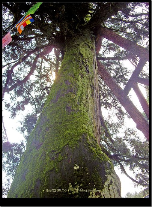 (1)福州闽侯县-雪峰寺-佛教灵山行旅 Blog  雪峰 闽侯县 福州 山行旅 佛教   [ 潘俊宏 Arttopan -艺术家 artist ]