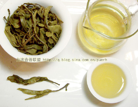 巴达(贺松)-普洱茶的毛茶/潘俊宏 评鉴 Life tea | 生活禪茶  贺松 评鉴 潘俊宏 毛茶 普洱茶 巴达   [ 潘俊宏 Arttopan -艺术家 artist ]