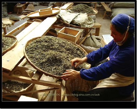 2007/5/12 普洱茶的诞生过程-南峤茶厂车间 Life tea | 生活禪茶  过程 车间 诞生 茶厂 普洱茶 南峤   [ 潘俊宏 Arttopan -艺术家 artist ]