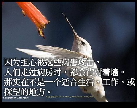 爱。零极限 - 世界是來自你內在的投射 Blog  极限 投射 內在 來自 世界   [ 潘俊宏 Arttopan -艺术家 artist ]