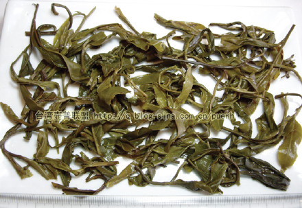 大渡岗(关坪)-普洱茶的毛茶/潘俊宏 评鉴 Life tea | 生活禪茶  评鉴 潘俊宏 毛茶 普洱茶 大渡岗 关坪   [ 潘俊宏 Arttopan -艺术家 artist ]