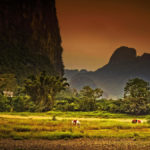 桂林 White Horse Resting On The Grass Photography | 攝影    [ 潘俊宏 Arttopan -艺术家 artist ]