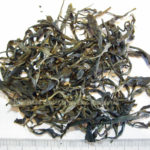 土产畜产进出口司2005年熟茶【73枣香厚砖】/潘俊宏 评鉴 Life tea | 生活禪茶  进出口 评鉴 畜产 潘俊宏 枣香厚 土产   [ 潘俊宏 Arttopan -艺术家 artist ]