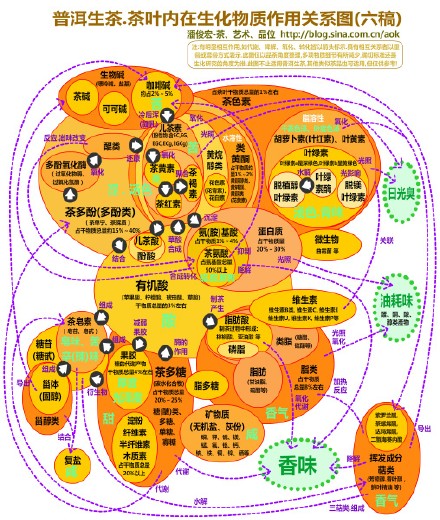 (最新.七稿)普洱生茶.茶叶内在生化物质作用关系图 Blog  茶叶 生茶 生化 物质 最新 普洱 内在 关系 七稿   [ 潘俊宏 Arttopan -艺术家 artist ]