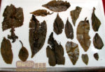 【云南大叶千年古树茶饼】冰岛茶叶精制厂-2006年生茶/评鉴 潘俊宏 原创 Life tea | 生活禪茶  评鉴 茶饼 精制 潘俊宏 年生 大叶 古树 冰岛   [ 潘俊宏 Arttopan -艺术家 artist ]