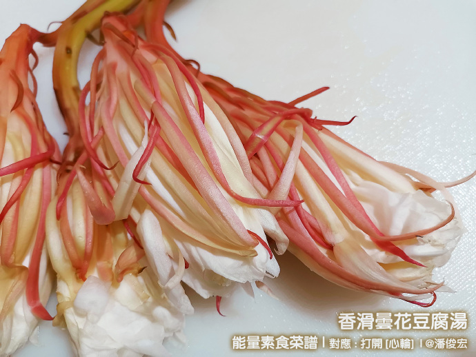 【香滑昙花豆腐汤】能量素食菜谱-对应：打开[心轮] Life tea | 生活禪茶  标签： 美食   [ 潘俊宏 Arttopan -艺术家 artist ]