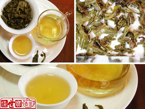 2006年中茶绿印(8821)饼茶品鉴/潘俊宏 原创 Life tea | 生活禪茶  绿印 潘俊宏 普洱茶 品鉴 原创   [ 潘俊宏 Arttopan -艺术家 artist ]