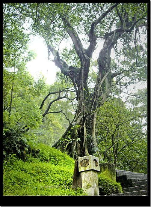 (1)福州鼓山-涌泉寺-佛教灵山行旅 Blog  鼓山 福州 涌泉寺 山行旅 佛教   [ 潘俊宏 Arttopan -艺术家 artist ]