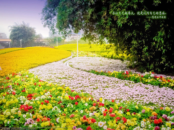 转转-台北花博会/台北国际花卉博览会(桌面壁纸下载) Blog  转转 花博会 花卉 桌面壁纸 国际 台北 博览会 下载   [ 潘俊宏 Arttopan -艺术家 artist ]