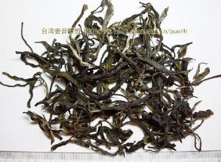 巴达(西定)-普洱茶的毛茶/潘俊宏 评鉴 Life tea | 生活禪茶  评鉴 西定 潘俊宏 毛茶 普洱茶 巴达   [ 潘俊宏 Arttopan -艺术家 artist ]