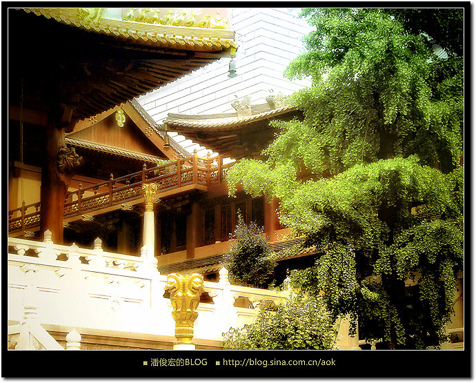 溜达溜达-静安寺/上海(组图) Blog  静安寺 组图 溜达 上海   [ 潘俊宏 Arttopan -艺术家 artist ]