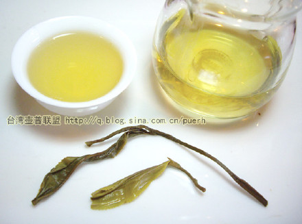 巴达(西定)-普洱茶的毛茶/潘俊宏 评鉴 Life tea | 生活禪茶  评鉴 西定 潘俊宏 毛茶 普洱茶 巴达   [ 潘俊宏 Arttopan -艺术家 artist ]