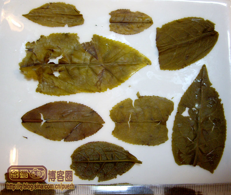 【厦门国际马拉松赛普洱茶纪念饼】-中茶-2007年-生茶(8991)/潘俊宏 原创 Life tea | 生活禪茶  马拉松赛 纪念 潘俊宏 普洱茶 厦门 原创 中茶   [ 潘俊宏 Arttopan -艺术家 artist ]