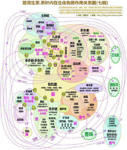 (最新.七稿)普洱生茶.茶叶内在生化物质作用关系图 Blog  茶叶 生茶 生化 物质 最新 普洱 内在 关系 七稿   [ 潘俊宏 Arttopan -艺术家 artist ]