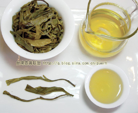 大渡岗-普洱茶的毛茶(脬条)/潘俊宏 评鉴 Life tea | 生活禪茶  评鉴 潘俊宏 毛茶 普洱茶 大渡岗   [ 潘俊宏 Arttopan -艺术家 artist ]