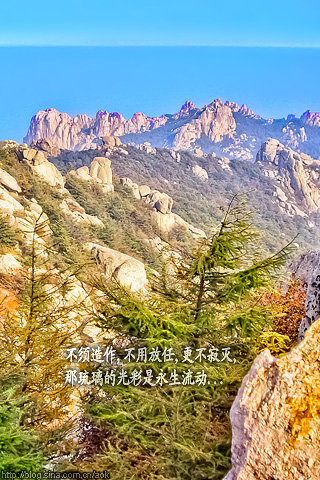 独驴溜达--崂山/青岛(桌面壁纸下载) Blog  青岛 独驴 溜达 桌面壁纸 崂山 下载   [ 潘俊宏 Arttopan -艺术家 artist ]